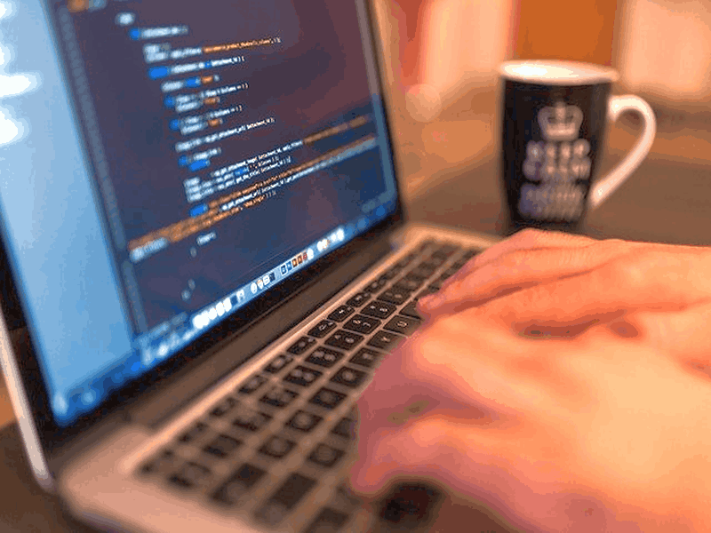 5 Top Programming Languages For Developers