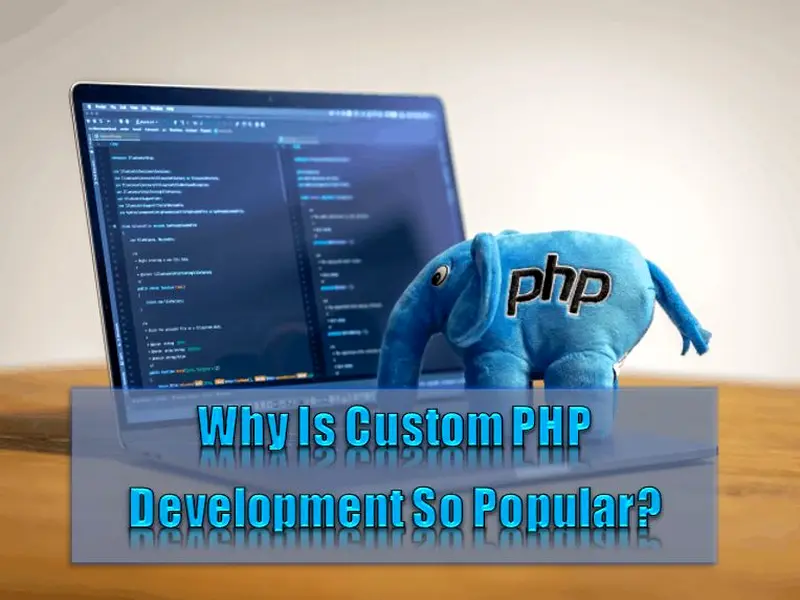 Why Is Custom PHP Development Framework So Popular