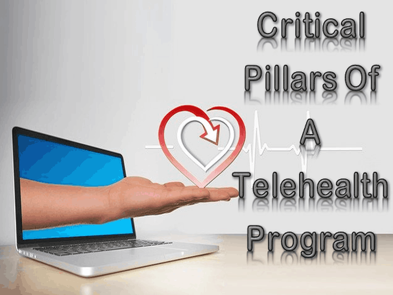 Critical Pillars Of Telehealth Program To Get Success